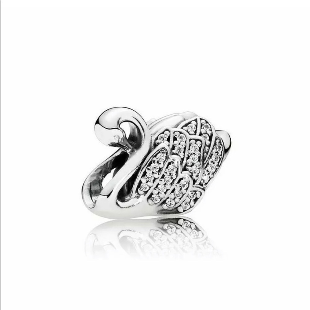 Pandora charm